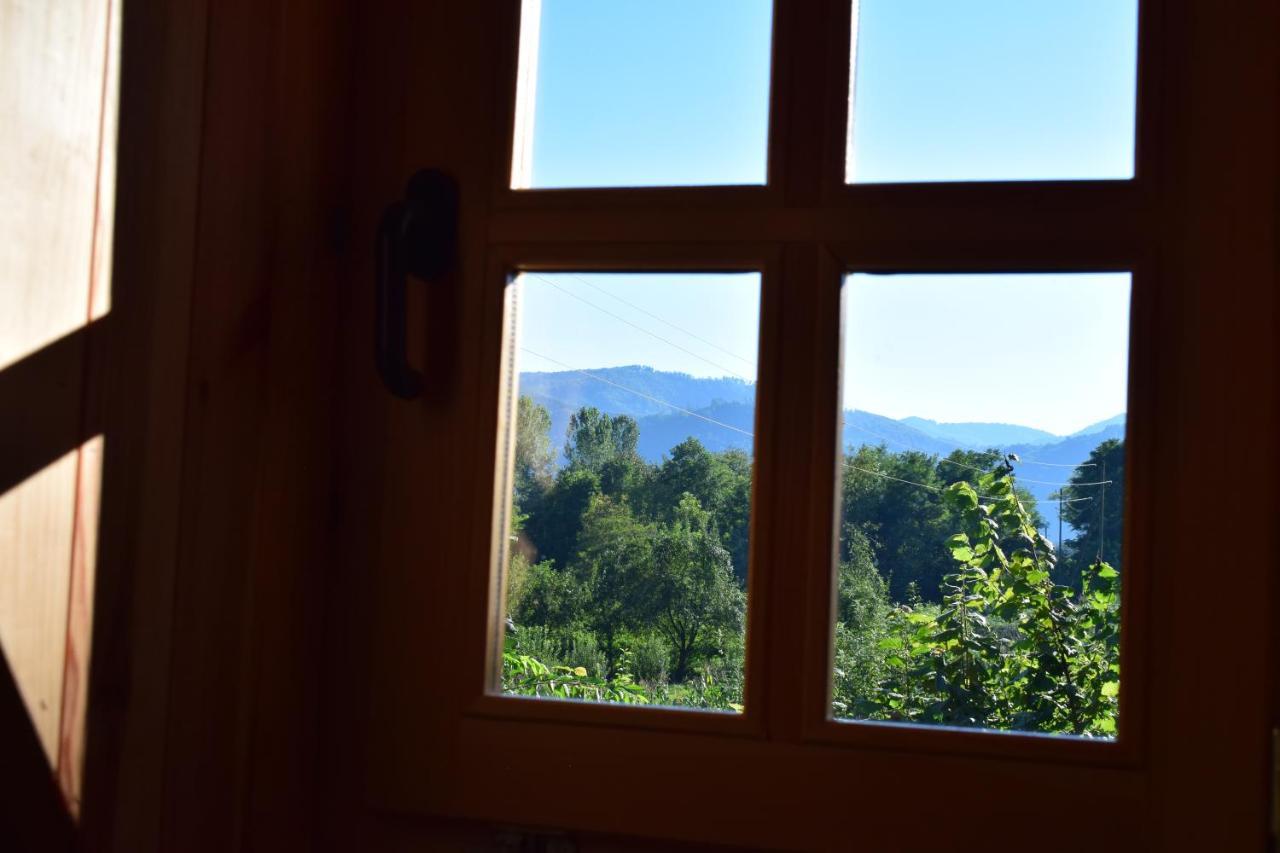 Drinska Tisina Villa Ljubovija Luaran gambar